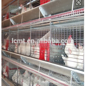 Poultry layer battery chicken cage for Nigeria farm